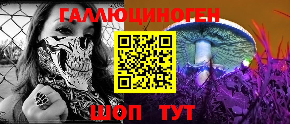 Ачхой-Мартан  Галлюциногенные грибы Psilocybine cubensis  Галлюциногенные грибы Psilocybe  Вход с VPN 