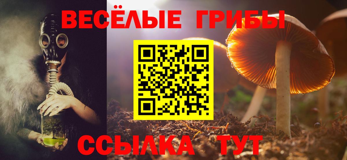 Галлюциногенные грибы прущие грибы Ачхой-Мартан